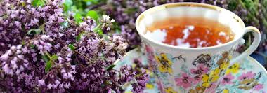 Tisane Et Infusion Quelles Plantes Cultiver Au Jardin Tisane Cultiver Plante