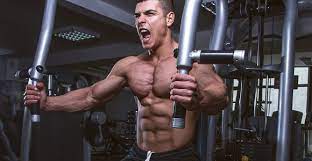 An Introduction To The Pec Deck Fitness Equipment