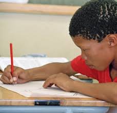 Assessing Progress in Africa toward the Millennium Development Goals