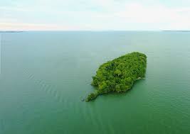 Camping on an Abandoned Island! - Album on Imgur