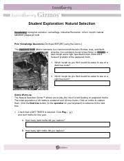 Gizmo answer key natural selection. Morning News Natural Selection Moth Gizmo Answer Key Student Exploration Sheet Growing Plants The Initial Population Of 40 Moths Is Scattered Over 20 Tree Trunks