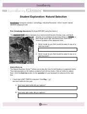 Natural selection gizmo answer key pdf. Morning News Natural Selection Moth Gizmo Answer Key Student Exploration Sheet Growing Plants The Initial Population Of 40 Moths Is Scattered Over 20 Tree Trunks