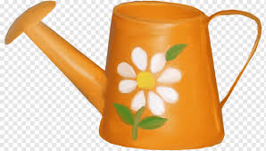 You may easily find these solutions on the net,or alternatively you can do them on your own. Watering Cans Flower Ceramic Orange Flower Decoration Watering Can Ink Orange Decorative Png Pngwing