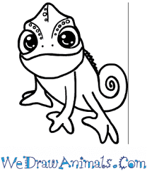 About press copyright contact us creators advertise developers terms privacy policy & safety how youtube works test new features press copyright contact us creators. How To Draw A Cute Chameleon