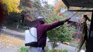 Claim your listing | testimonials. A Ase Pest And Weed Supplies Pest Control Phoenix Az Sulekha