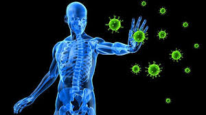 The human body constantly faces attack from foreign invaders that can cause infection and disease. 10 Amazing Facts About Your Immune System Everyday Health