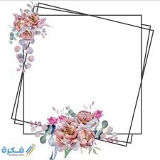 سكرابز إطارات