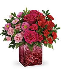 We did not find results for: Teleflora S Breathtaking Ombre Bouquet In Bloomington Il Original Niepagen Flower Shop