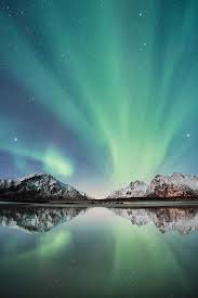 How To Book The Best Tromso Northern Lights Tour Northern Lights Photography Northern Lights Norway Tromso Northern Lights