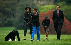 Barack hussein obama ii is an american politician and attorney. 21 Adorable Photos Of The Obamas Dogs Bo And Sunny