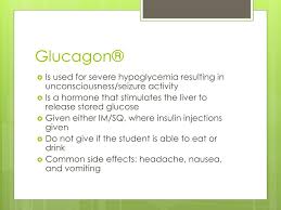 Because glucagen® depletes glycogen stores, the patient should be given supplemental carbohydrates as soon as he/she. Ppt Hypoglycemia Glucagon Powerpoint Presentation Free Download Id 2194167