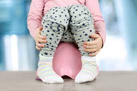 Largos bestseller „babyjahre studiert, wird folgende aussage finden: Kindertoilette Topfchentraining Was Experten Padagogen Heute Raten