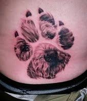 Tetování tlapky | fotogalerie motivy tetování. Tlapky 3d Dog Paw Prints Tattoo