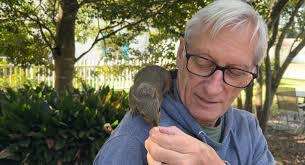 Steven Jeffreys's Instagram, Twitter & Facebook