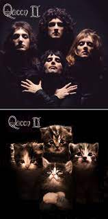 The Kitten Covers 19 Classic Album Covers Recreated With Cats Iconic Album Covers Classic Album Covers Famous Album Covers