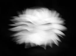 How To Do Abstract Nature Photography