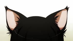 Get notified when the betrayed wolf (oc x highschool dxd) is updated. Bna Ashes To Claws Shirou Ogami X Oc Chapter Two Festival Problem