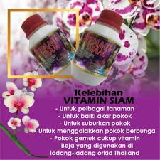 Manfaat pertama dari msg ajinomoto untuk tanaman adalah dapat menambah kesuburan pada tanaman. Promo Vitamin Siam Baja Semburan Organik Thailand Shopee Malaysia