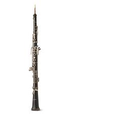 What is the name of a bowed string instrument that is larger than a violin? Musical Instruments Quiz Quiz Music Art And Literature Lessons Dk Find Out