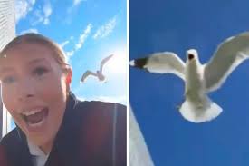 Derde editie van LOSS Kunstenfestival (Zottegem)