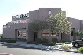 Grand Montecito Animal Hospital Las Vegas Nv Las Vegas Animal Hospital Hospital