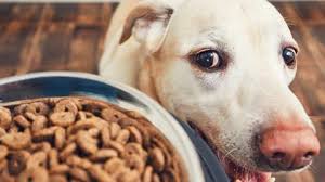 How A Flurry Of Petfood Challenger Brand Buyouts Could Consolidate Uk Market In The 2020s Analysis Features The Grocer