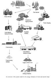 Hardwood Flooring Design Life Cycle