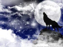 Wolf Wallpaper Background Theme Desktop Fondo De Pantalla Lobo Wolf Lobo Aullando