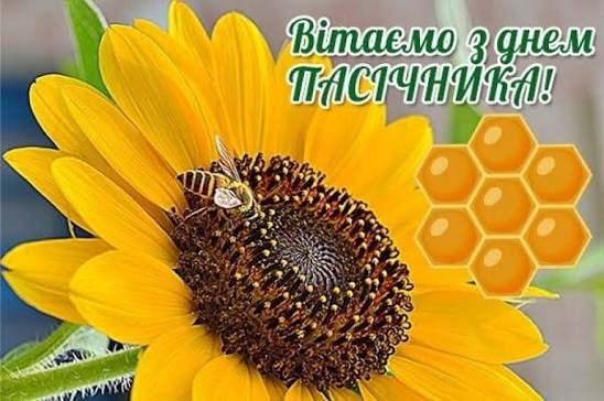 19 серпня День пасічника – професійне свято бджолярів України |  Івано-Франківська обласна державна адміністрація