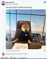 马斯克宣布：推特“新CEO”是一只柴犬- Chinadaily.com.cn