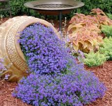 Pfiffige Ideen Fur Pflanzkubel Aus Denen Blumenstrome Fliessen Pflanzen Amphore Garten Wustenlandschaft