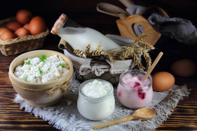 Quem foi que disse que iogurte, kefir e kombucha são probióticos?! - UOL  VivaBem