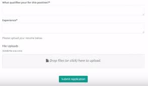 create an online job application form
