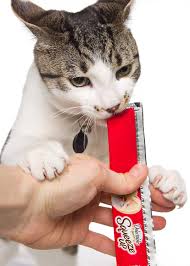 Hartz Delectables Squeeze Up Cat Treat 4ct Pack Of 8 Check This Awesome Product By Going To The Link At The Image This Is An A Cat Treats Cats Wet Cat