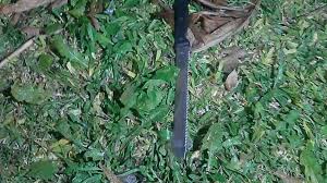 Jun 25, 2021 · el periodista pablo carrozza cuestionó duramente a marcelo tinelli por haber dejado san lorenzo para abocarse a showmatch, programa de canal 13 que noche a noche pierde en la batalla por el. Extw6pmdj8a 3m