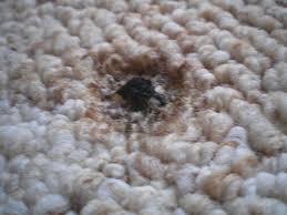 That triangular hot device has a habit of leaping from the board and leaving its mark. Repair Cigarette Burns On Carpet 4 Steps With Pictures Instructables