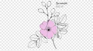 Tatto tribal design ideas 1 2 apk download android books. Desain Bunga Gambar Garis Seni Rose Sketsa Mawar Merangkai Bunga Kosmetik Png Pngegg