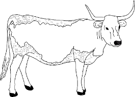 Print a few copies of the. Free Printable Cow Coloring Pages For Kids Coloring Home
