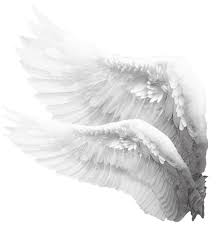 Alasdeangel Alastumblr Alasdelalibertad Alas Alasparavo In 2020 Wings Png Angel Wings Png Angel Aesthetic