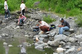 Top 10 metal detectors for gold in 2021. Gold Rich Rivers Where You Can Still Find Treasure Lovemoney Com