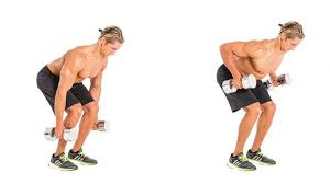 The Dumbbell Workout Plan To Build Muscle At Home Coach