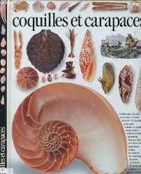 L'oeil y tient une place plus qu'importante, c'est lui qui transmet une émotion. Coquilles Et Carapaces Documentaire Jeunesse Sur Les Coquillages Collection Les Yeux De La Decouverte De Arthur Alex Achat Livres Ref R200081003 Le Livre Fr