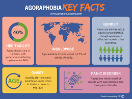 Image result for Agoraphobic Avoidance