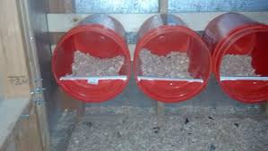 Les Pondoirs Pour Poules Fait Maison
