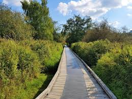 Welcome to festival lawn at deer lake park, a beautiful outdoor venue hosting live music and concert in burnaby, bc, canada, just east of vancouver. Deer Lake Park Burnaby Bc Know All About Boating Walking Nature Trekkerpedia