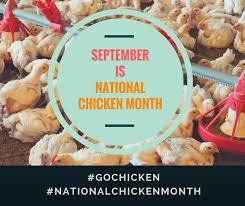 September Is National Chicken Month Gochicken Broiler Chicken Chicken Raising Chickens