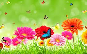 Beautiful Flowers Scenery Hd 1440x900 Download Hd Wallpaper Wallpapertip Affordable and search from millions of royalty free images, photos and vectors. beautiful flowers scenery hd 1440x900