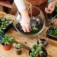 Terrarium making workshop - Southbank event in London