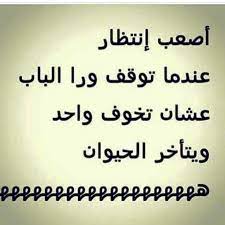 تعال يا حيوان بسرعه خلينا نخلص الموضوع الجو حار هنا ههههههههههه mego funny picture jokes movie quotes funny fun quotes funny