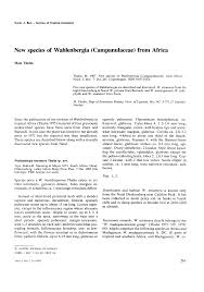 Image result for Wahlenbergia madagascariensis